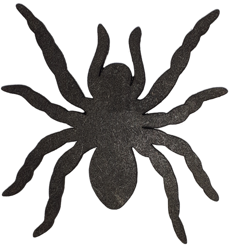 Ombre - Araignée